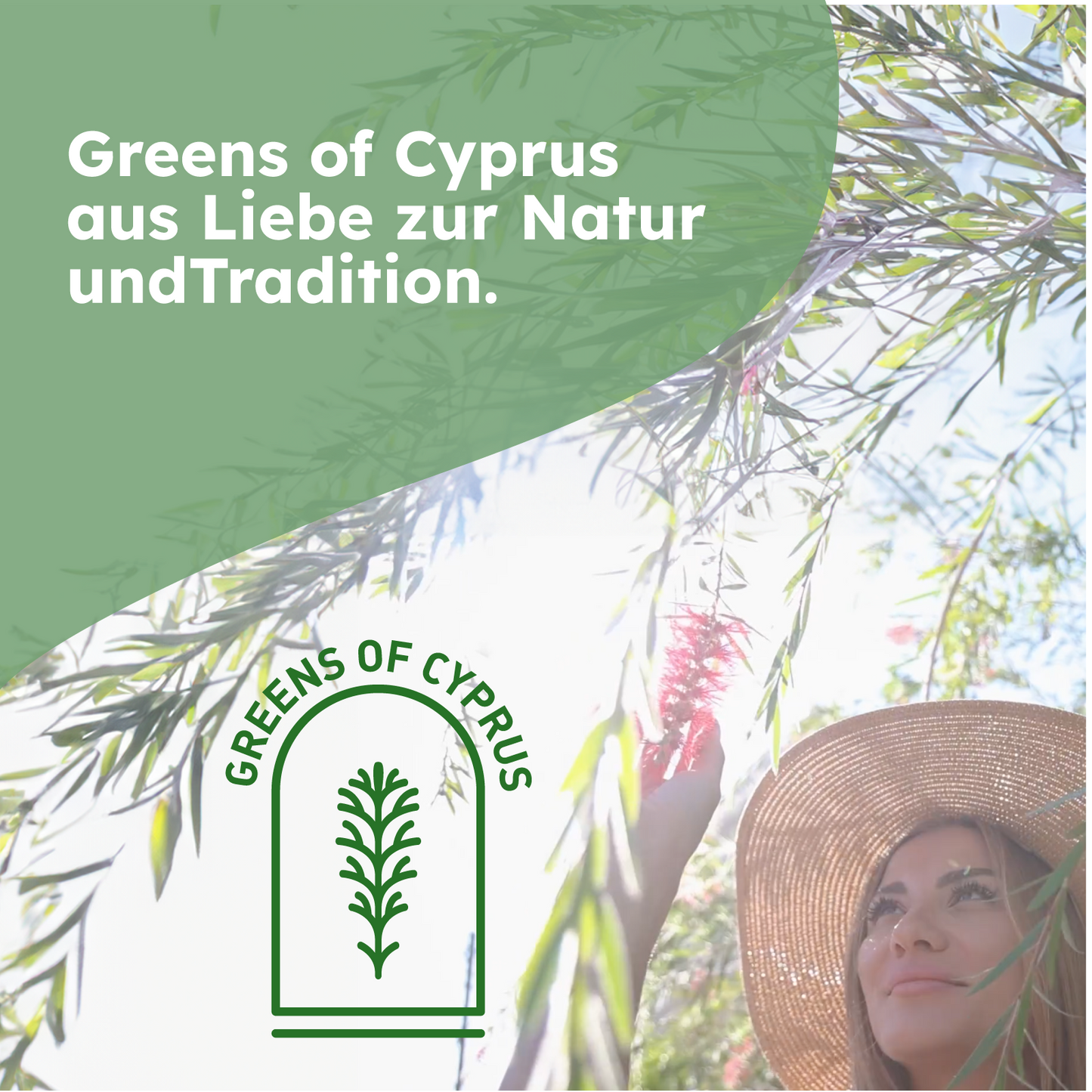 Teebaumöl 100% Bio & Rein - Hochwertiges Ätherisches Öl - Ideal für Haut, Haare & Nägel - Teebaumöl - Melaleuca Ätherisches Öl - GREENS OF CYPRUS